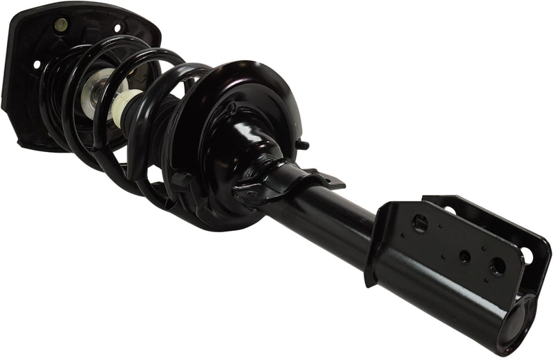 Loaded Strut - Rear Side