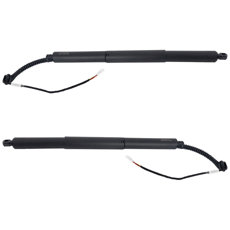 Hood Lift Support CarParts SET-RB63040019