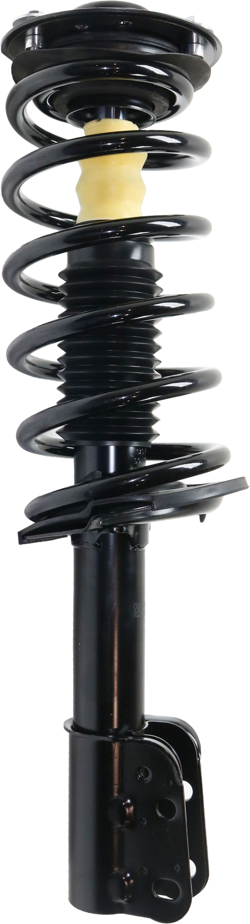 Front Driver and Passenger Side Loaded Struts