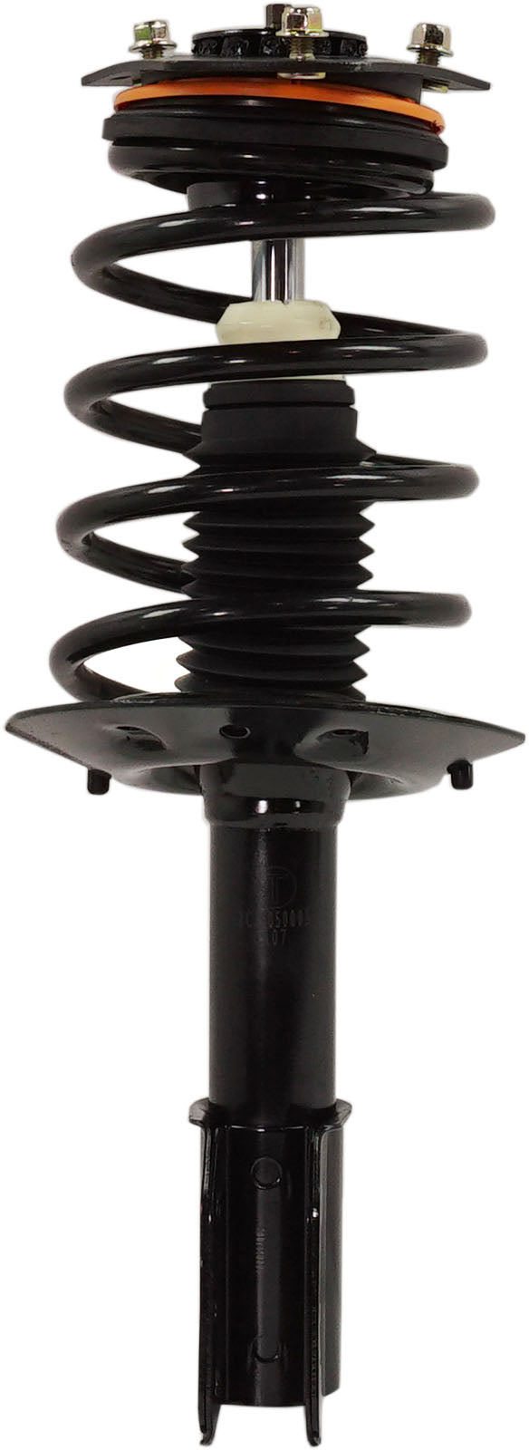 Loaded Strut - Front and Rear Side