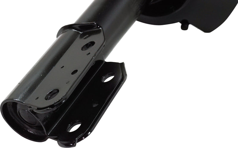 Loaded Strut - Front and Rear Side