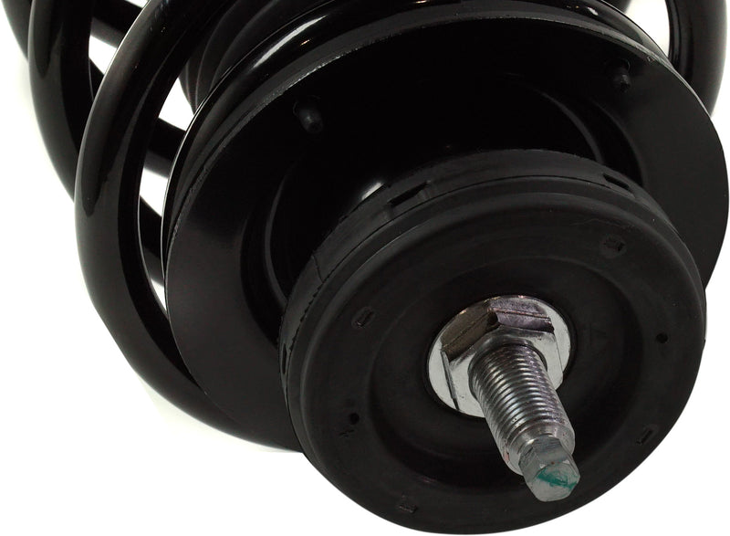 Loaded Strut - Front Driver and Passenger Side