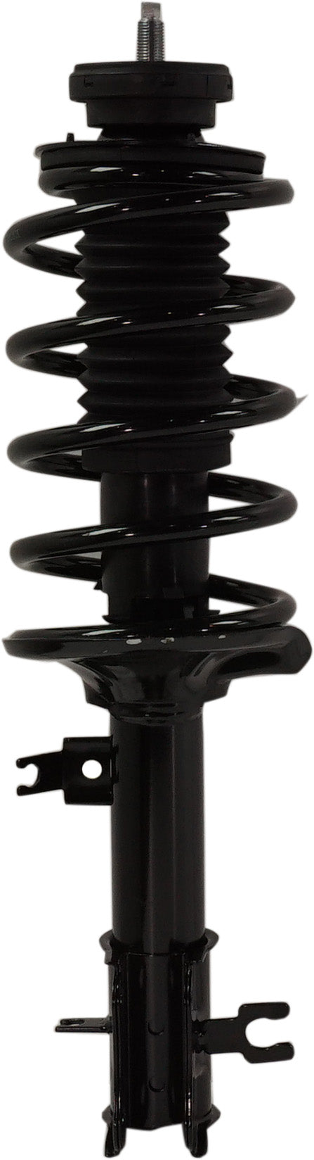 Loaded Strut - Front Driver and Passenger Side