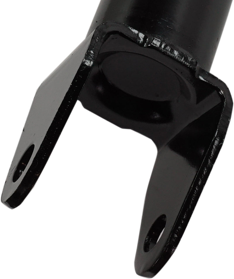Loaded Strut - Front Driver and Passenger Side