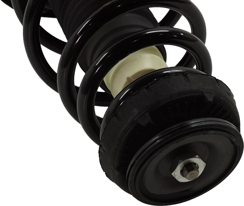 Strut Assembly Front Passenger & Driver Side