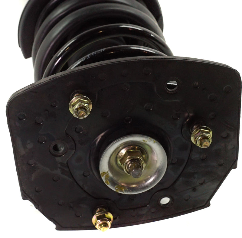 Loaded Strut - Rear Driver and Passenger Side