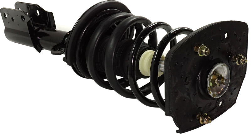 Loaded Strut - Rear Driver and Passenger Side