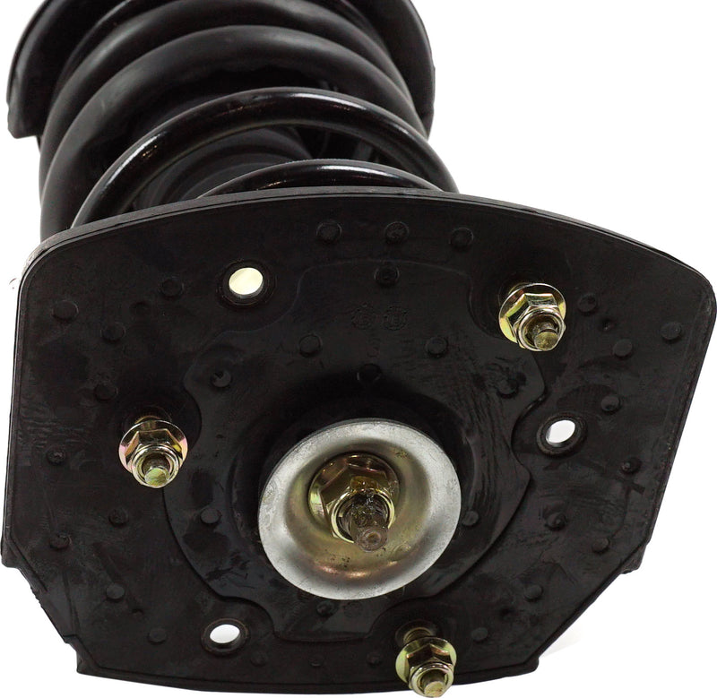 Loaded Strut - Rear Driver and Passenger Side