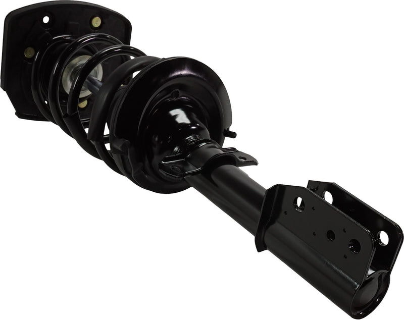 Loaded Strut - Rear Driver and Passenger Side