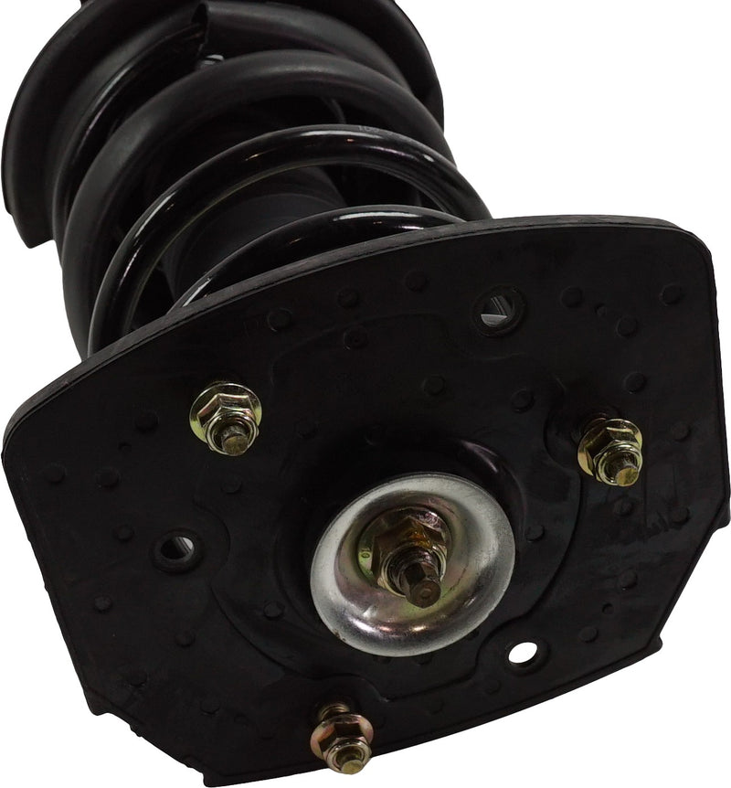 Loaded Strut - Rear Driver and Passenger Side