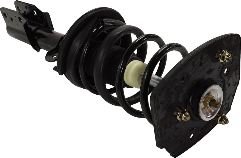 Loaded Strut - Rear Driver and Passenger Side