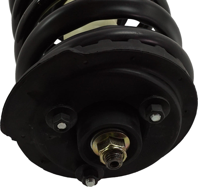 Loaded Strut - Rear Driver and Passenger Side