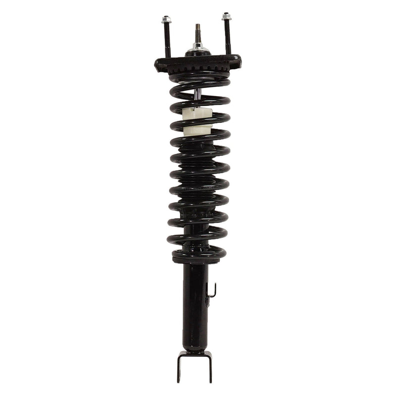 Loaded Strut - Rear Driver and Passenger Side
