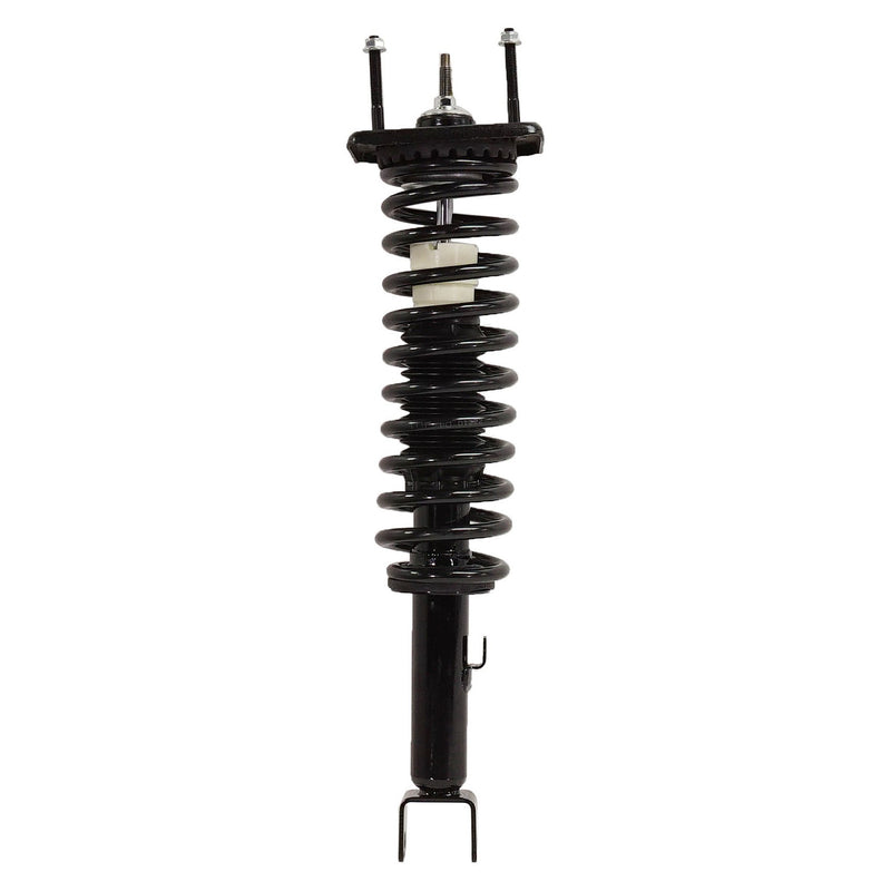 Loaded Strut - Rear Driver and Passenger Side