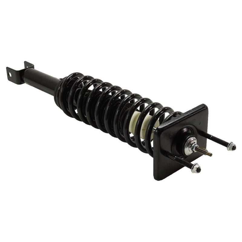Loaded Strut - Rear Driver and Passenger Side