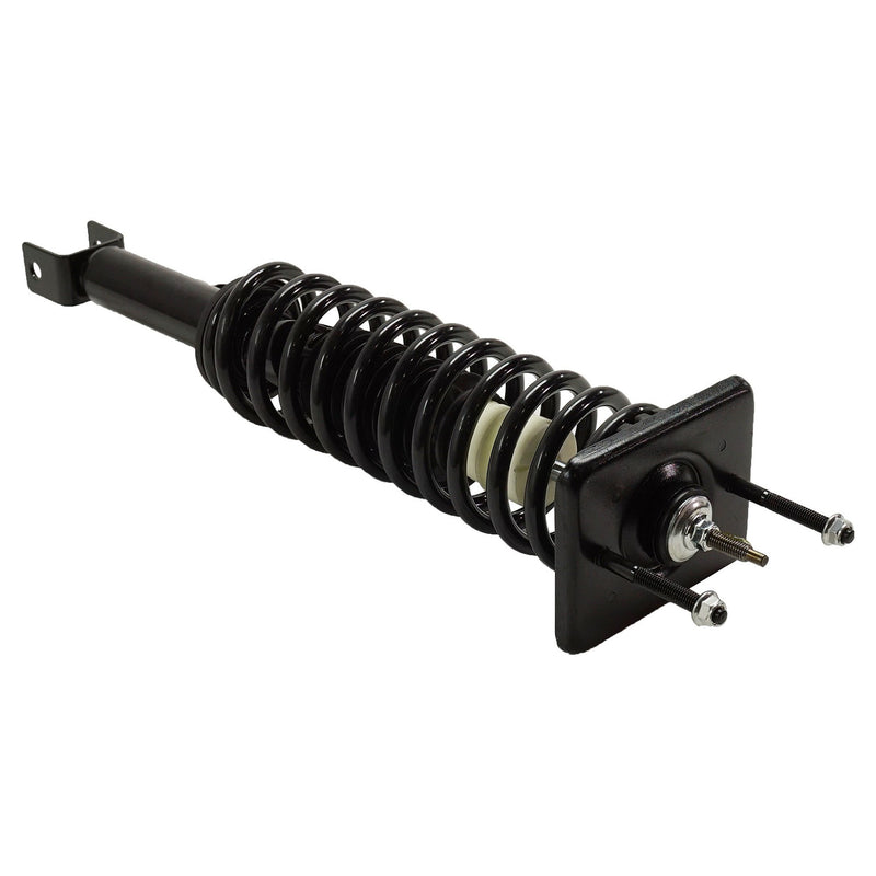 Loaded Strut - Rear Driver and Passenger Side