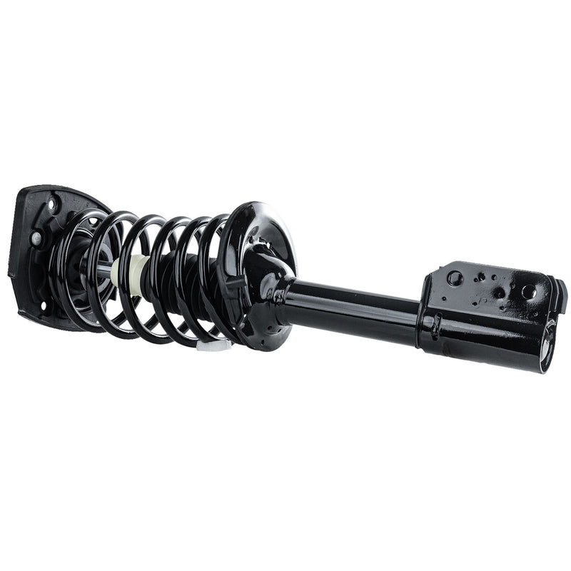 Loaded Strut - Rear Driver and Passenger Side