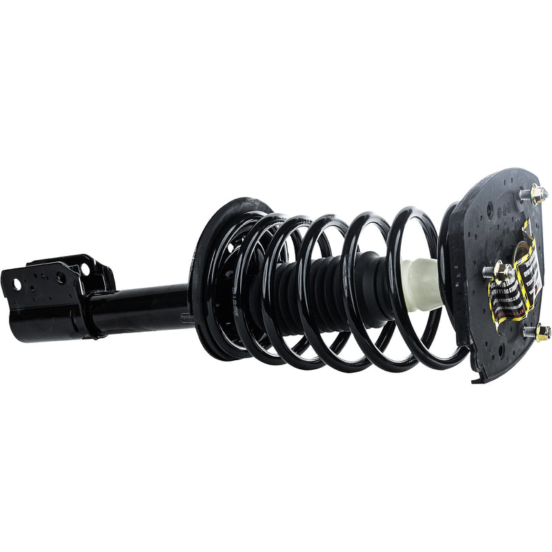 Loaded Strut - Rear Driver and Passenger Side