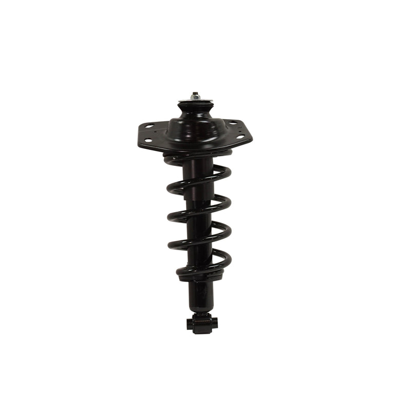 Loaded Strut - Rear Driver and Passenger Side