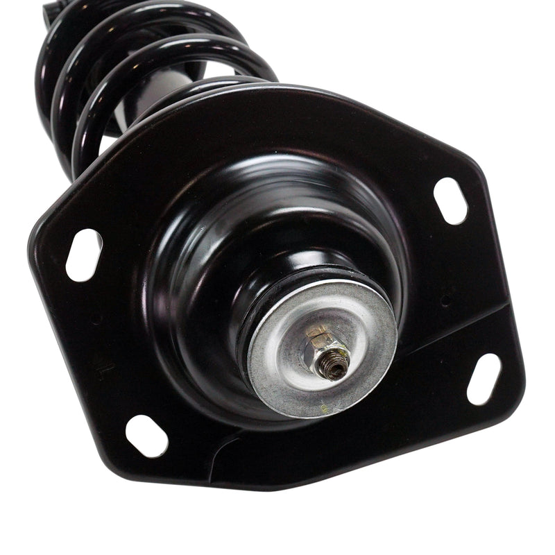 Loaded Strut - Rear Driver and Passenger Side