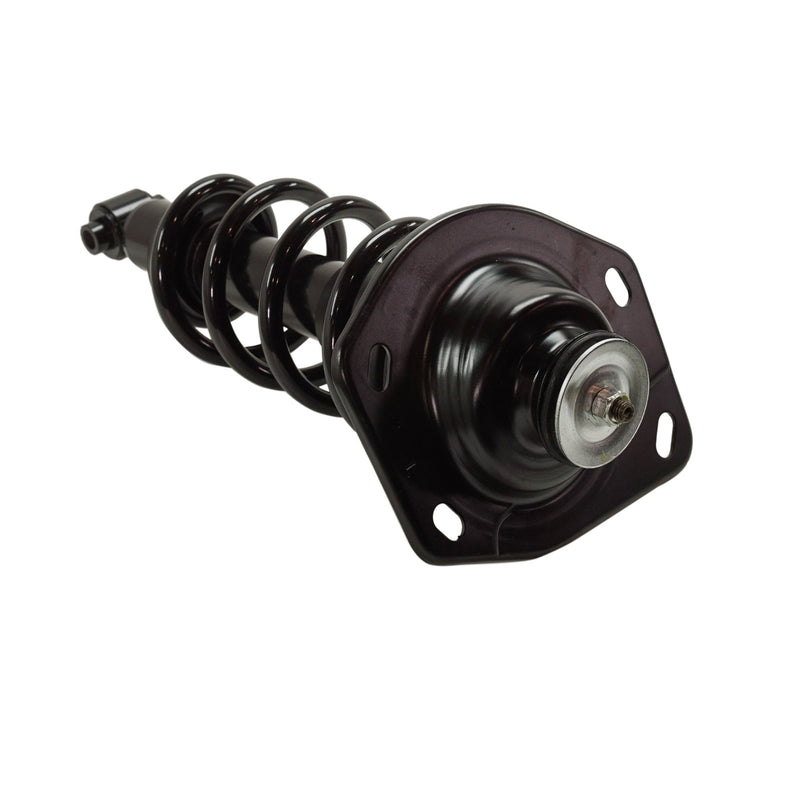 Loaded Strut - Rear Driver and Passenger Side