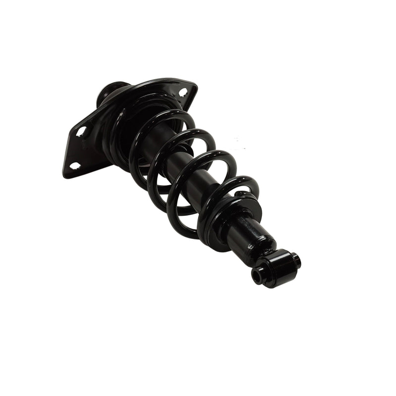 Loaded Strut - Rear Driver and Passenger Side