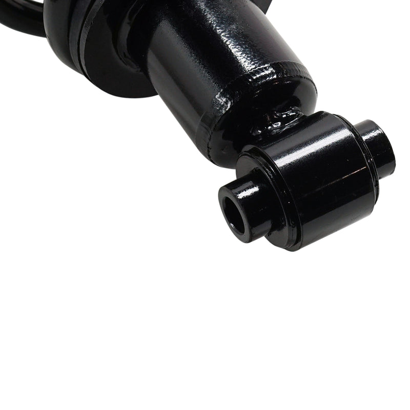 Loaded Strut - Rear Driver and Passenger Side