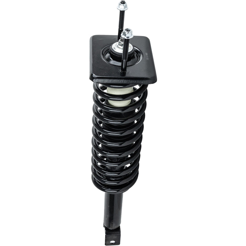 Loaded Strut