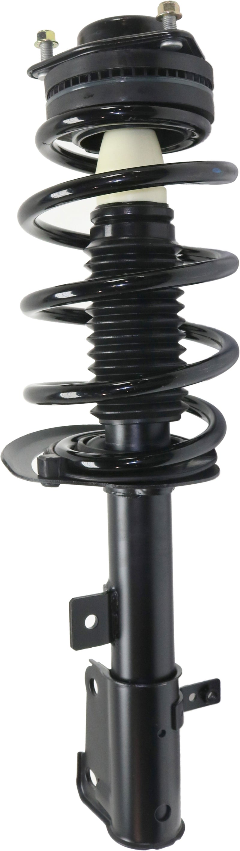 Loaded Strut - Front Driver and Passenger Side