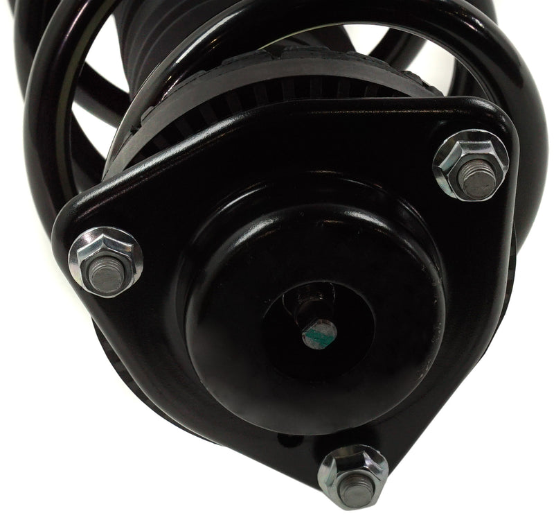 Loaded Strut - Front Driver and Passenger Side