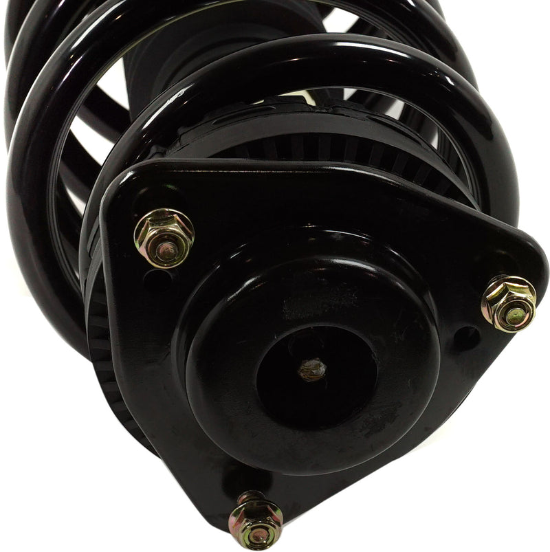 Loaded Strut - Front Driver and Passenger Side