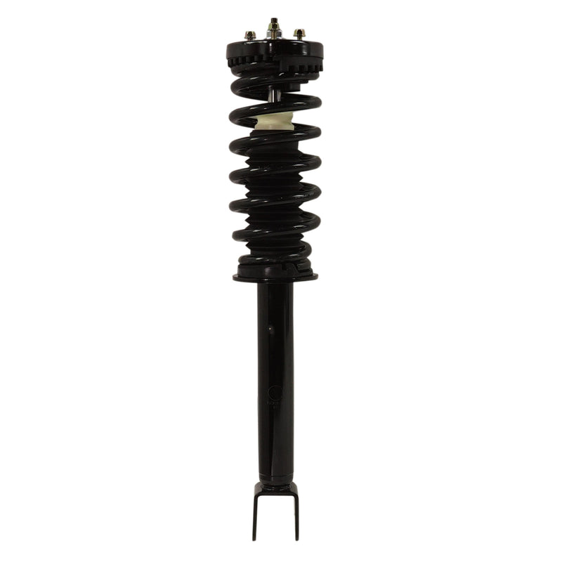 Loaded Strut - Front Driver and Passenger Side