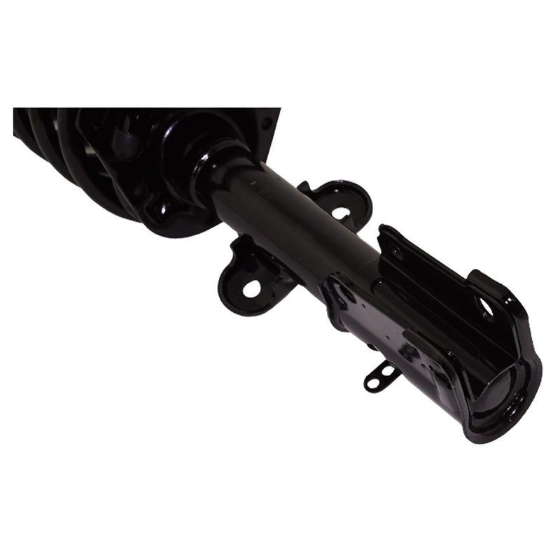 Loaded Strut - Front Driver and Passenger Side