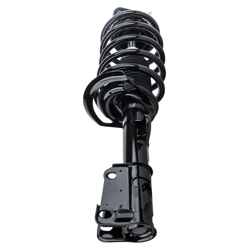 Loaded Strut - Front Driver and Passenger Side