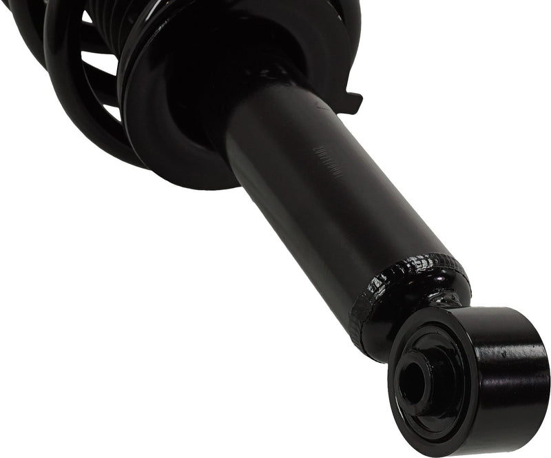 Loaded Strut - Rear Driver and Passenger Side