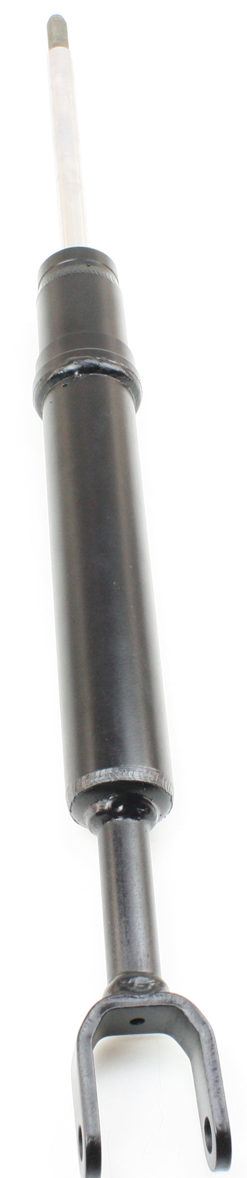 Strut - Front Driver and Passenger Side
