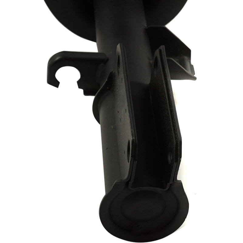 Strut - Front Driver and Passenger Side With Front Coil Spring