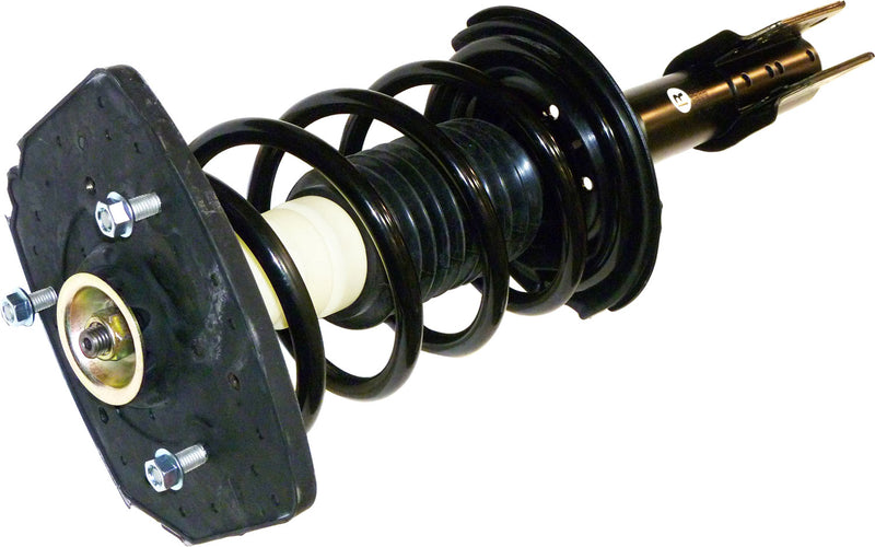 Loaded Strut - Rear Driver and Passenger Side