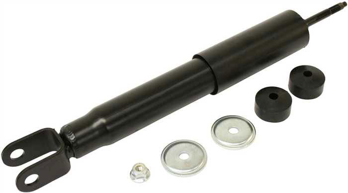 Shock Absorber - Front Driver and Passenger Side
