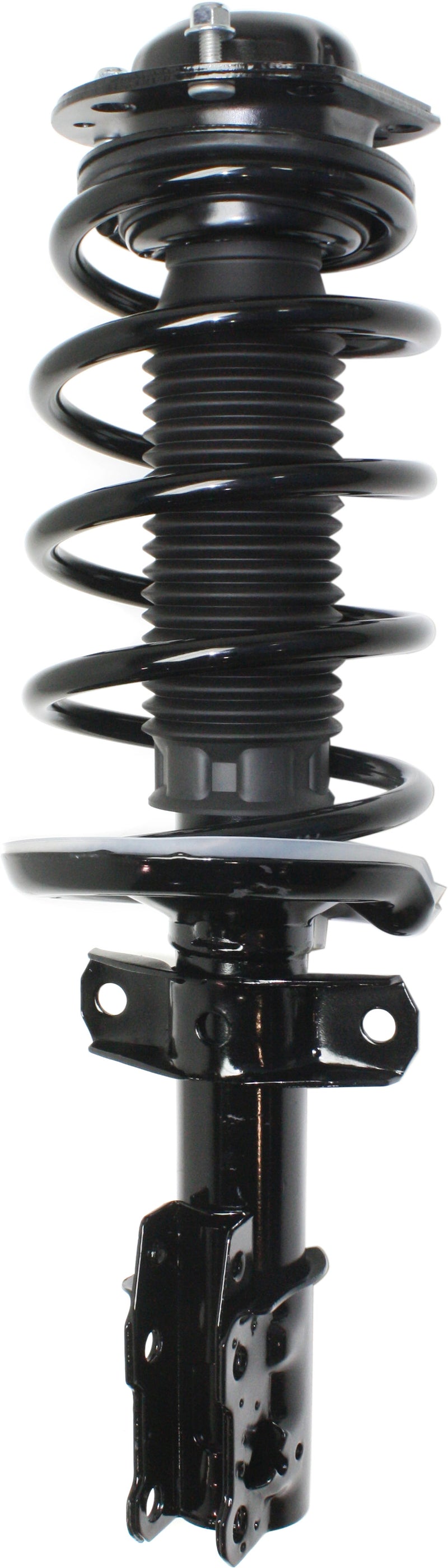 Loaded Strut - Front Driver and Passenger Side