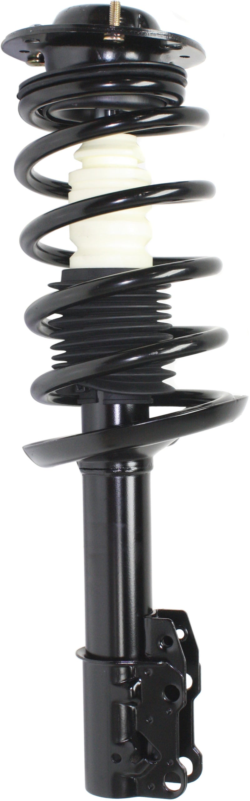 Loaded Strut - Front Driver and Passenger Side