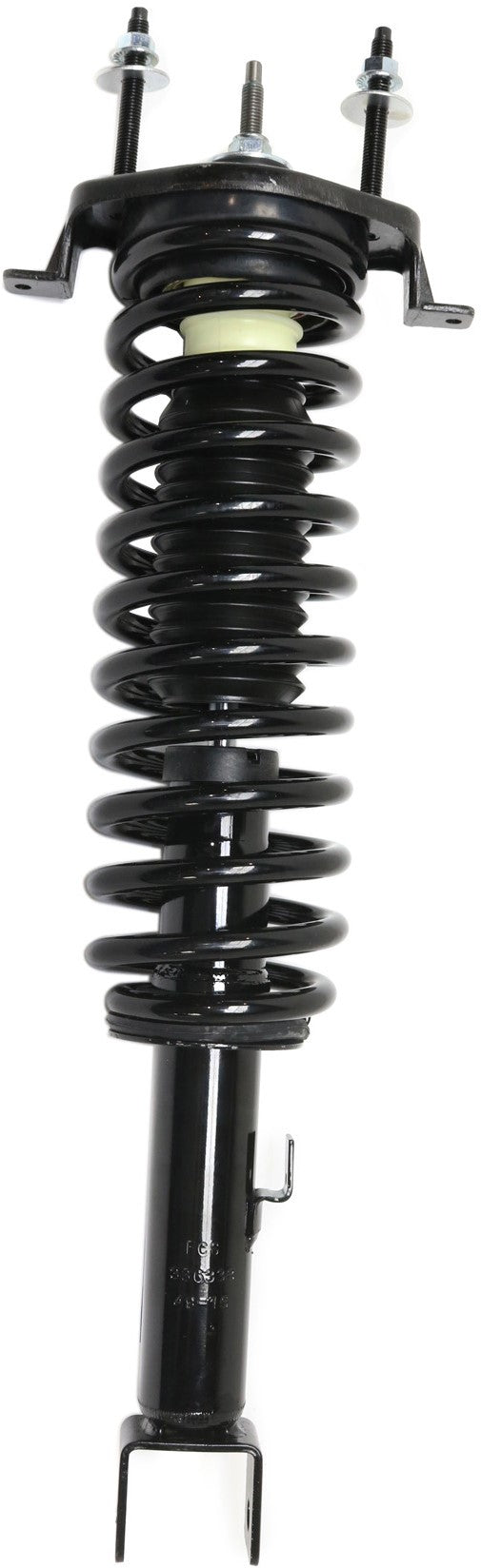 Rear Driver and Passenger Side Loaded Struts