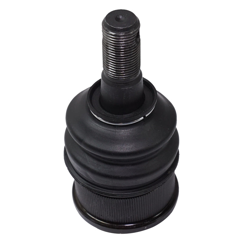 Front Driver and Passenger Side Lower Ball Joints