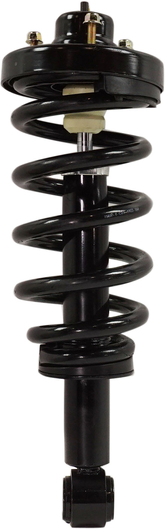 Loaded Strut - Front and Rear Driver and Passenger Side