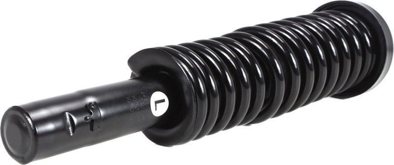 Loaded Strut - Front Driver and Passenger Side