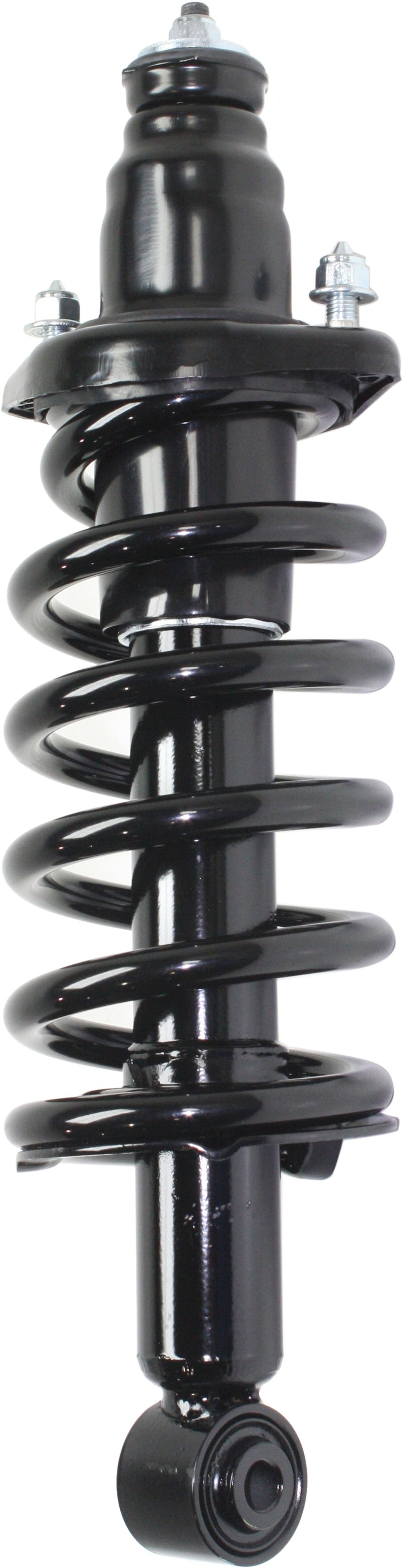 Rear Driver and Passenger Side Loaded Strut