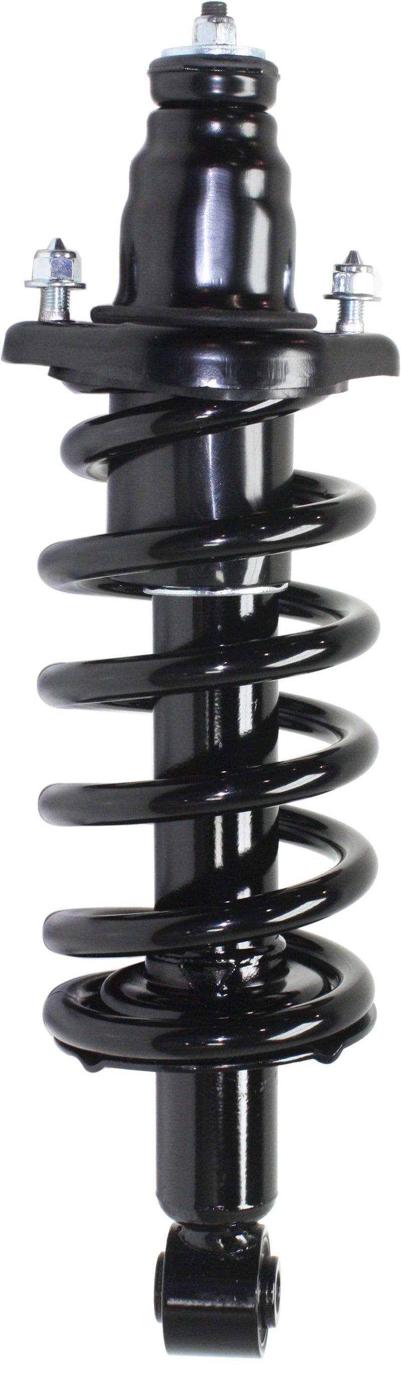 Rear Driver and Passenger Side Loaded Strut
