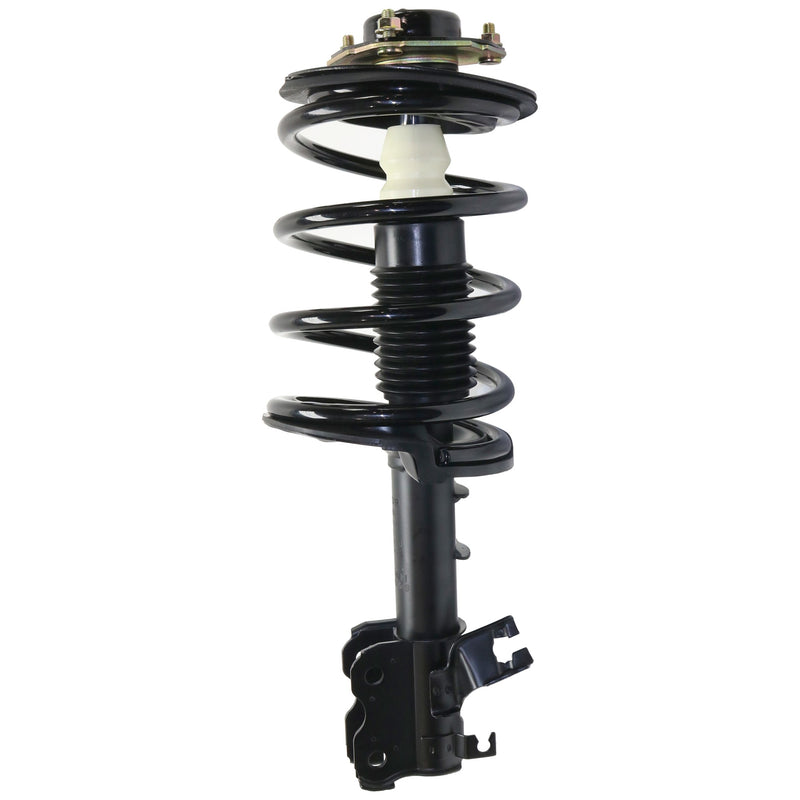 Front & Rear Shock & Strut Assembly
