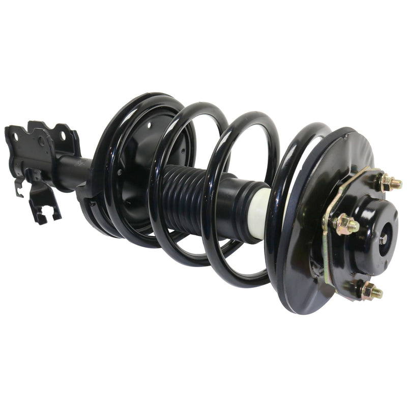 Front & Rear Shock & Strut Assembly