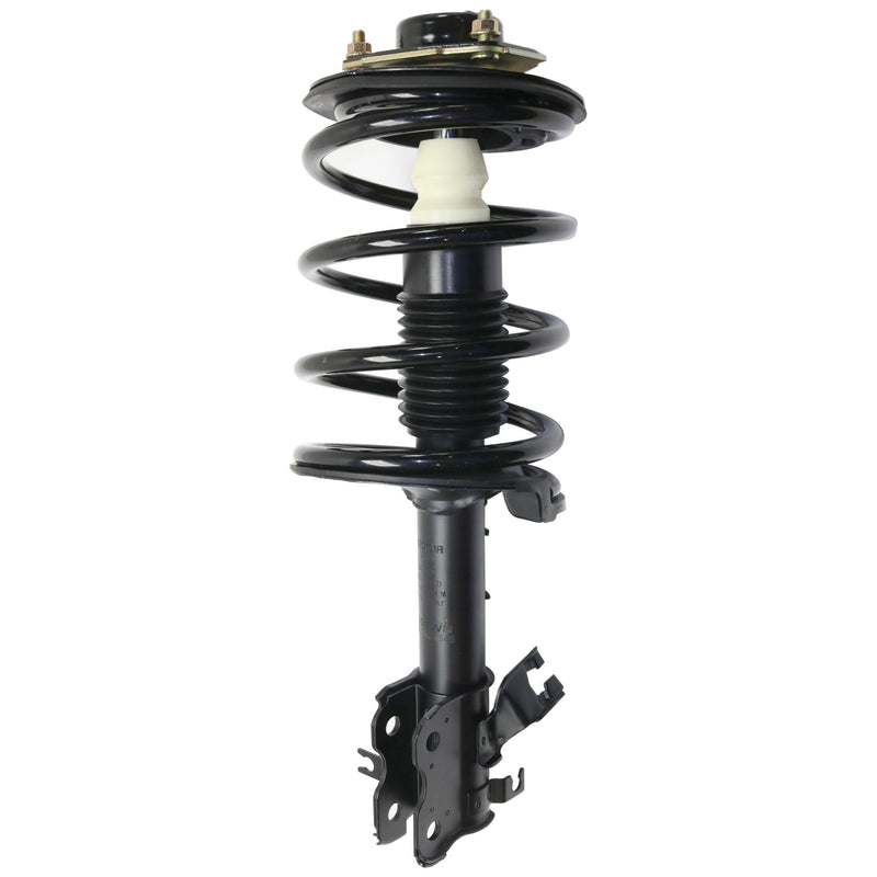 Front & Rear Shock & Strut Assembly